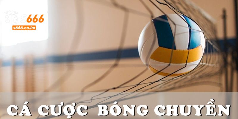 Cá Cược Bóng Chuyền S666 - Khám Phá Các Kèo Đầu Tư Thú Vị 2 Tìm hiểu về bộ môn cá cược bóng chuyền S666
