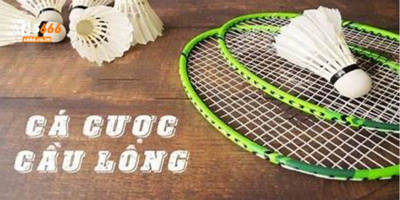 Cá Cược Cầu Lông Tại S666 - Sân Chơi Cho Người Yêu Thể Thao 2 Cầu lông khiến gamer say mê bởi sự kịch tính và thưởng giá trị